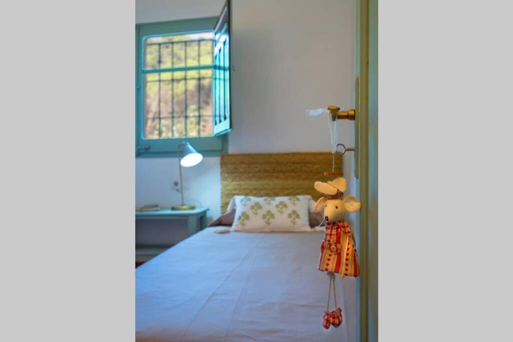 Casa Rural Mas Del Gall - Casa Nova, Barcelona Βίλα Tordera Εξωτερικό φωτογραφία